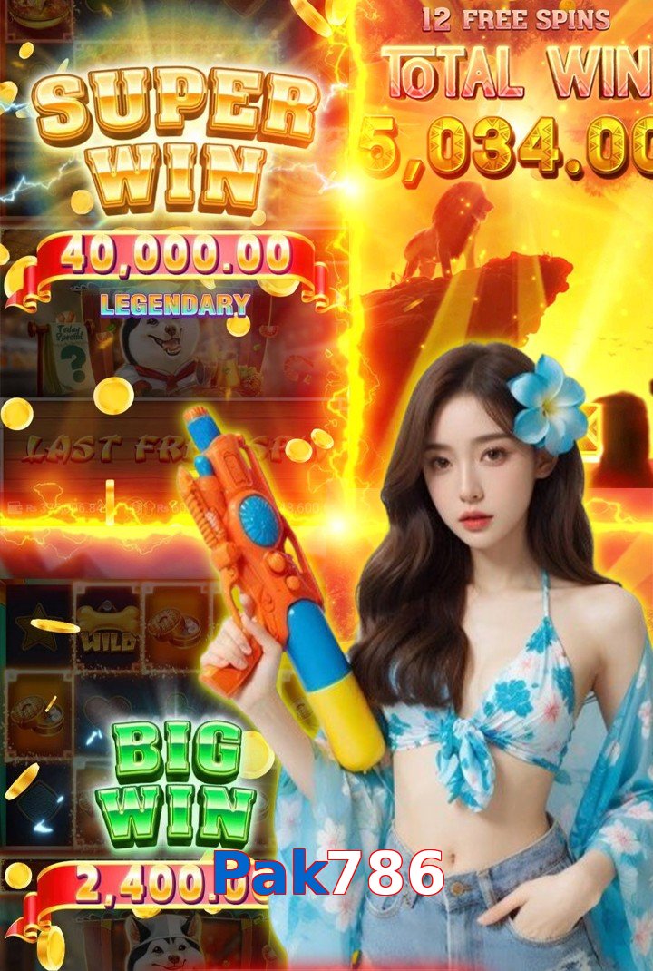 Pak786 interface sample